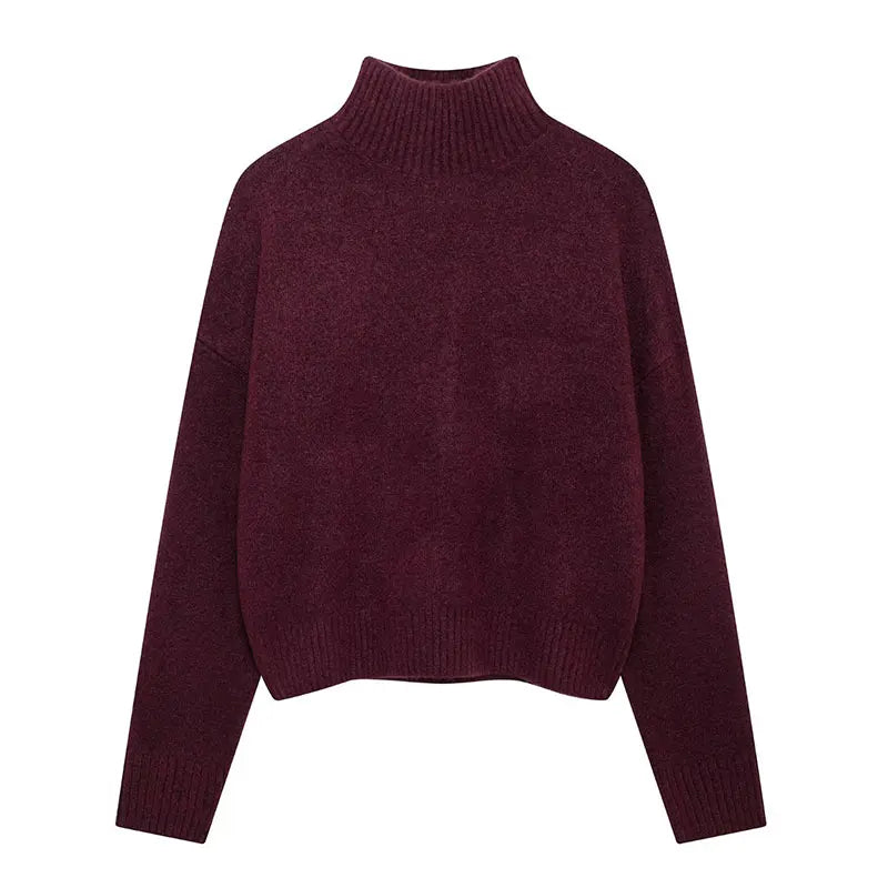 Casual Woman Turtleneck Sweater Women's Knitwear