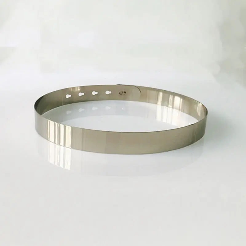 Women Vintage Elegant Waist Belt Metallic Bling Gold Silver Party Simple Belts