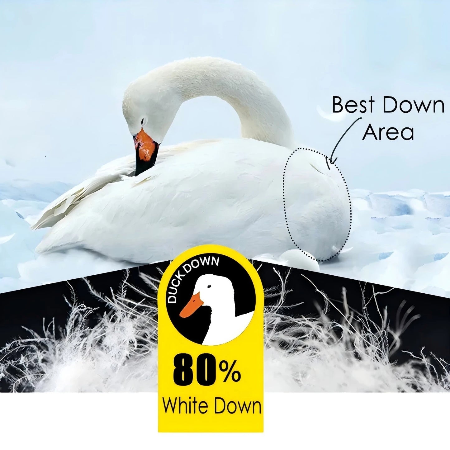 Men Winter New White Duck Down Jacket Warm Thick Stand Collar Windproof Puffer Jacket