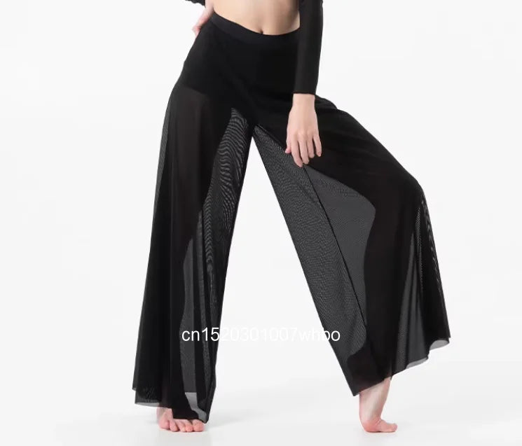Dance Set Women's Elegant Classical Modern  Dance Practice Mesh