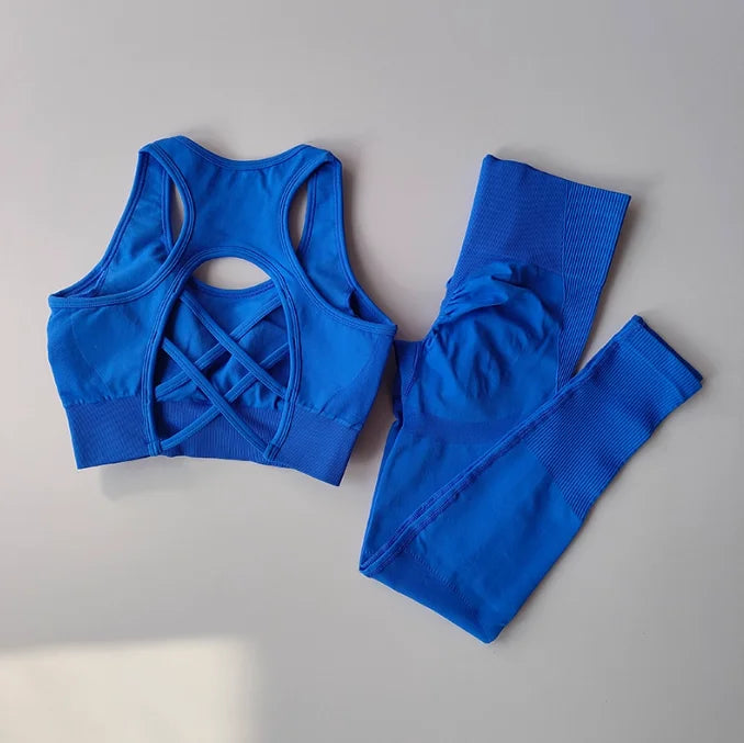 Women's Workout Set 2 Piece, High Impact Sports Bra and High Waist Leggings