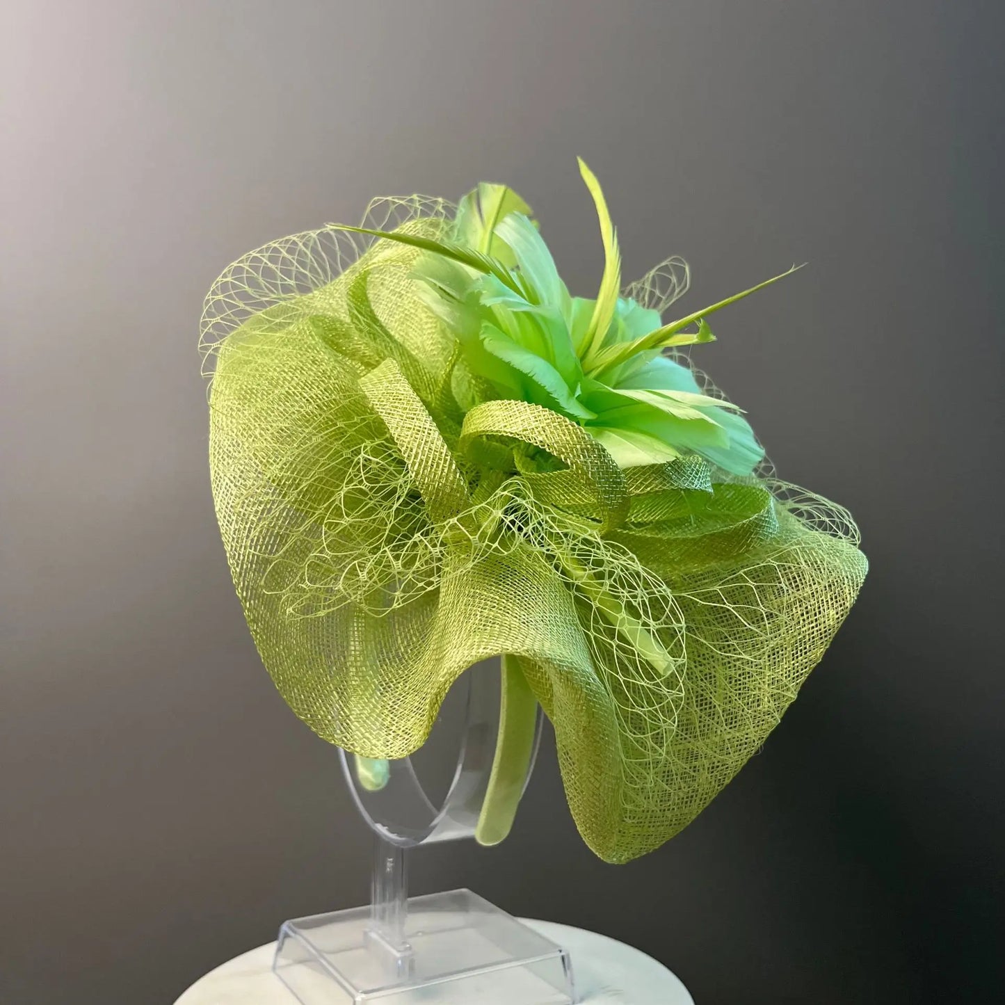 Fascinators Hats for Women Feather Veil Headwear