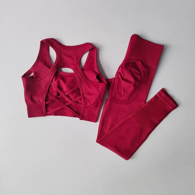 Women's Workout Set 2 Piece, High Impact Sports Bra and High Waist Leggings