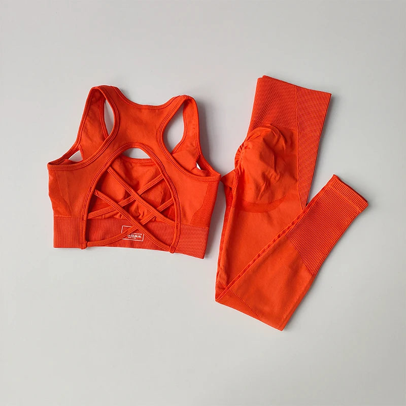 Women's Workout Set 2 Piece, High Impact Sports Bra and High Waist Leggings