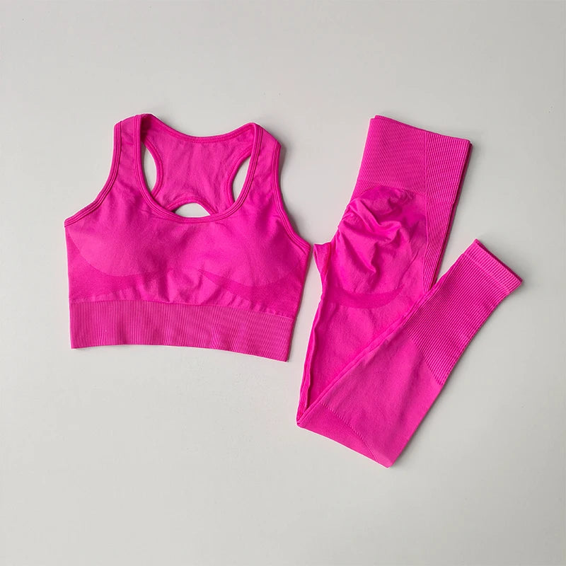 Women's Workout Set 2 Piece, High Impact Sports Bra and High Waist Leggings