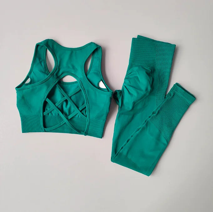 Women's Workout Set 2 Piece, High Impact Sports Bra and High Waist Leggings