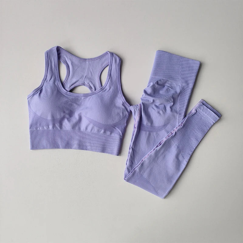 Women's Workout Set 2 Piece, High Impact Sports Bra and High Waist Leggings
